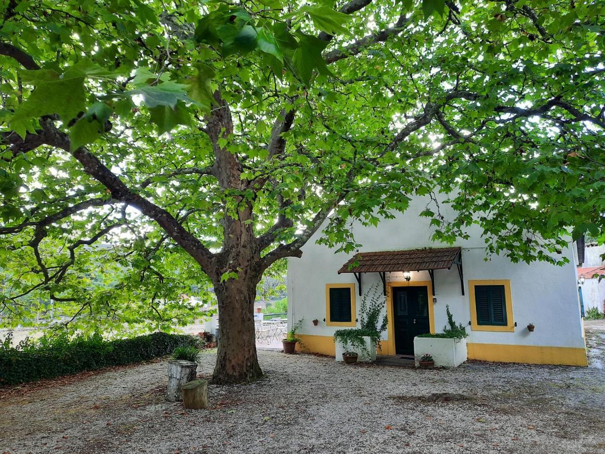 Montejunto Villas - Casa Do Platano Cadaval Exterior photo