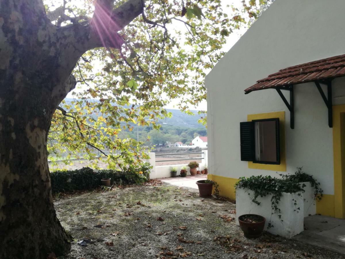 Montejunto Villas - Casa Do Platano Cadaval Exterior photo